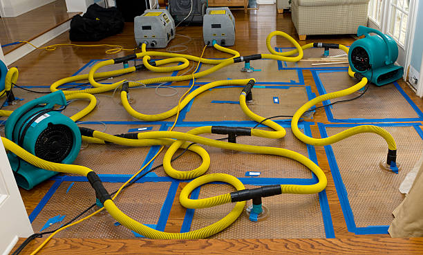 Professional Crawl Space Water Removal technician working in Arthur, ND